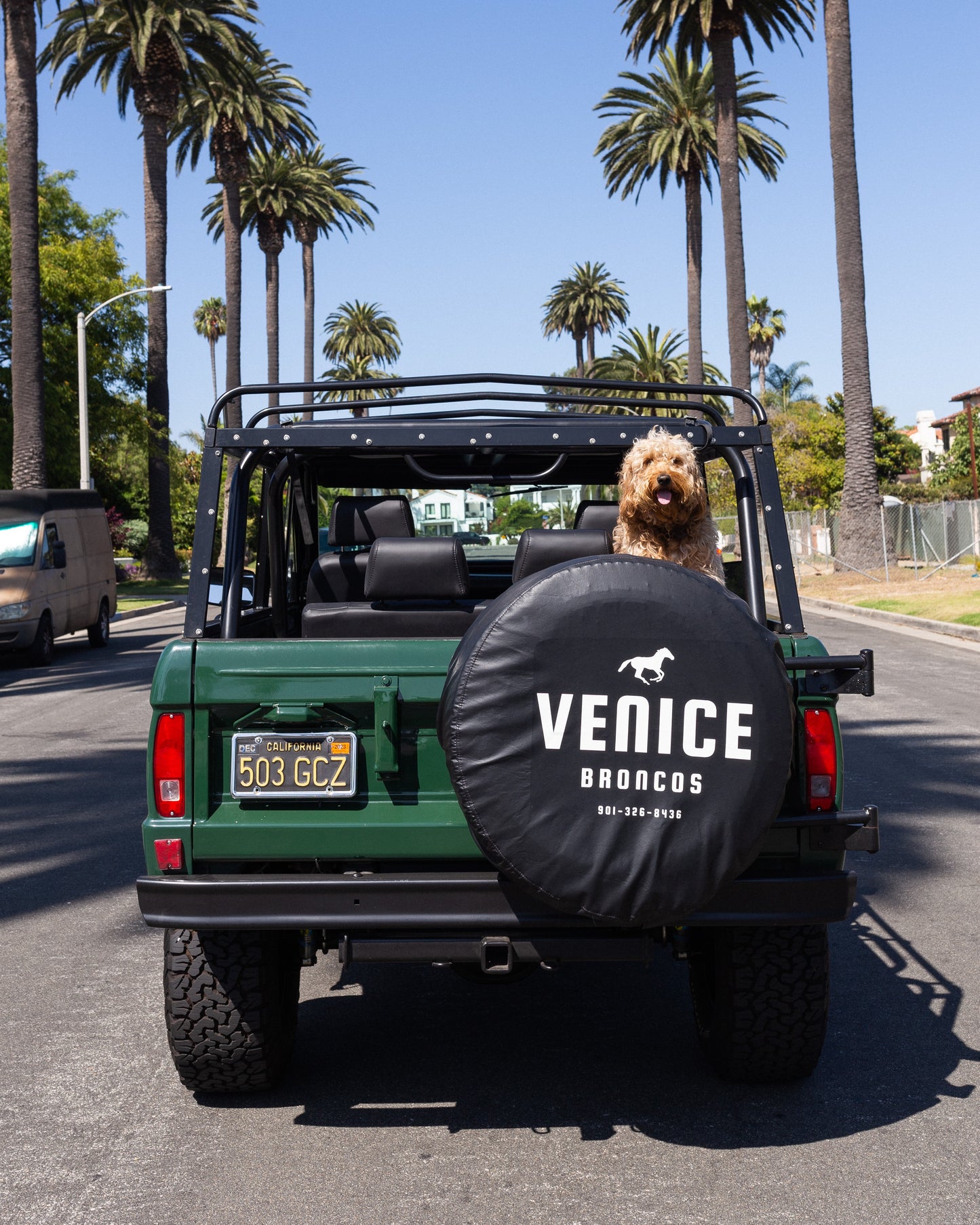 Classic Venice Broncos Trucker Cap (Dark Green)